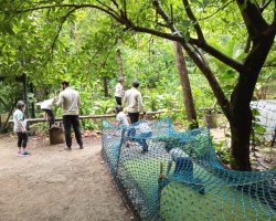 Std I Field Trip 2023-24 to Bhavan's Nature and Adventure Centre